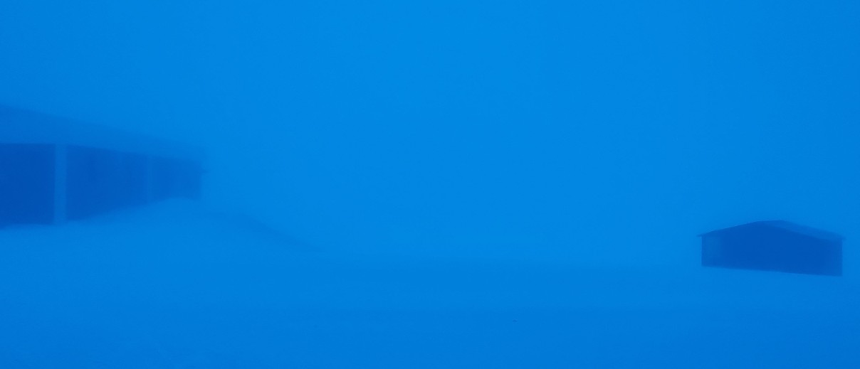 Image Sample