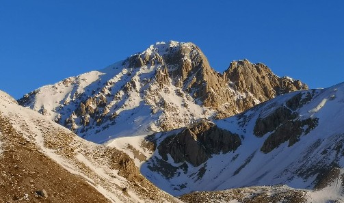 Image Sample