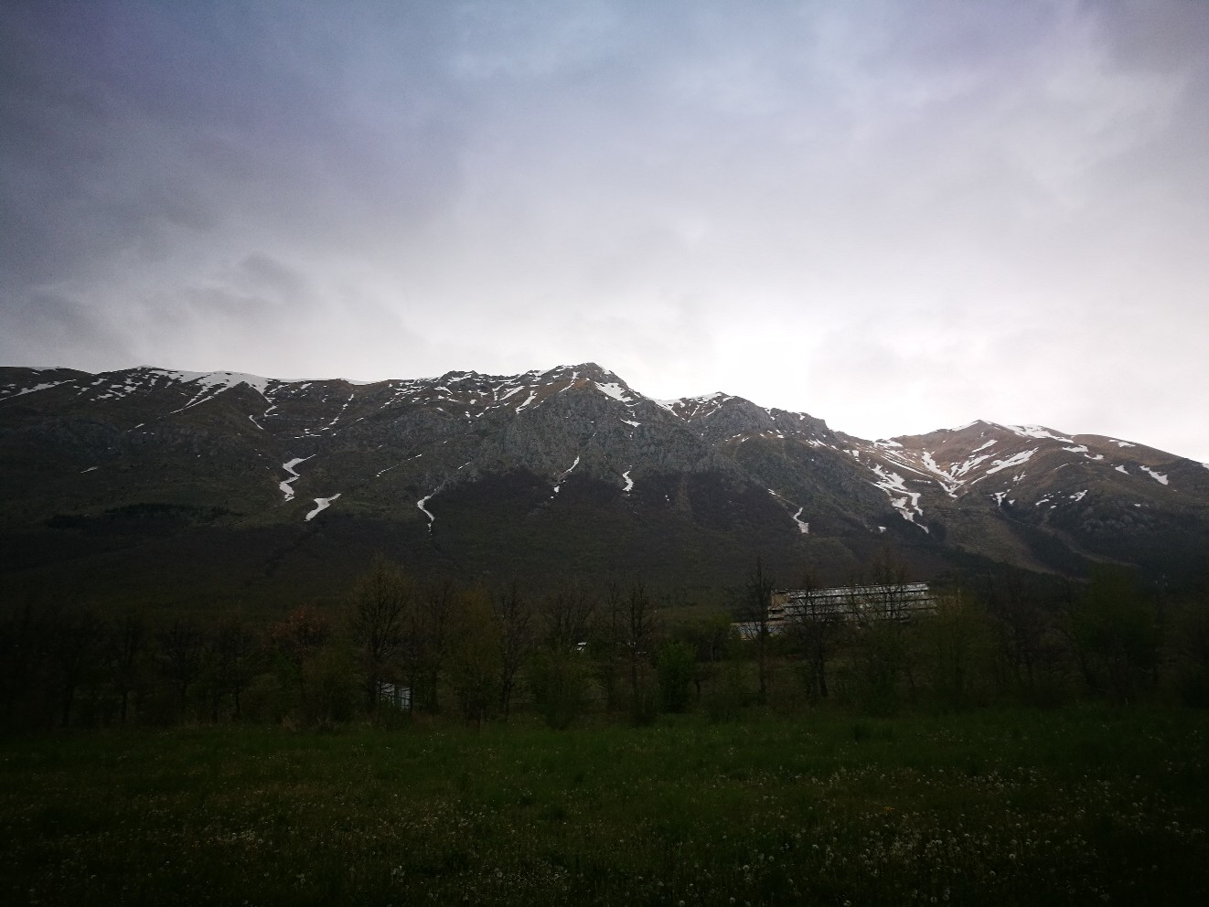 Image Sample