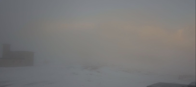 Image Sample